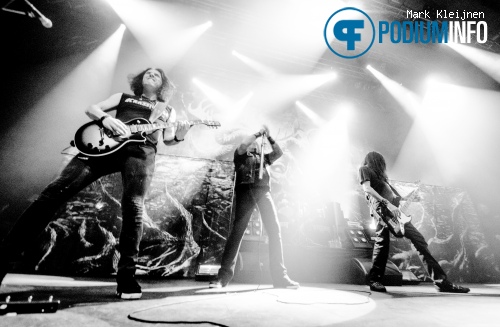 Testament op Testament - 03/12 - Effenaar foto