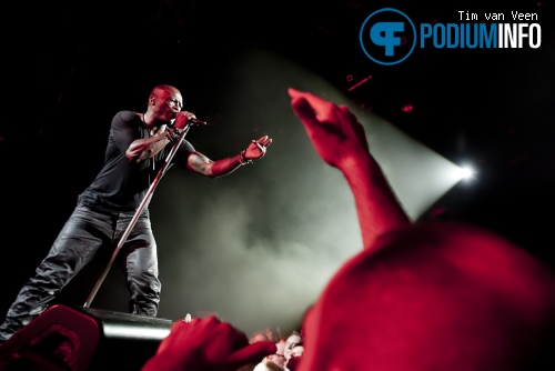 Seal op Seal - 6/12 - Vredenburg foto