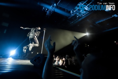 Seal op Seal - 6/12 - Vredenburg foto
