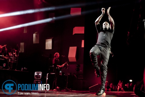 Seal op Seal - 6/12 - Vredenburg foto