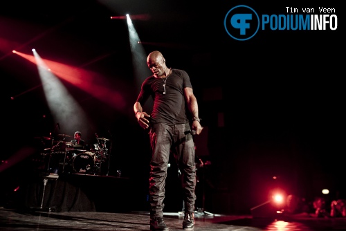 Seal op Seal - 6/12 - Vredenburg foto