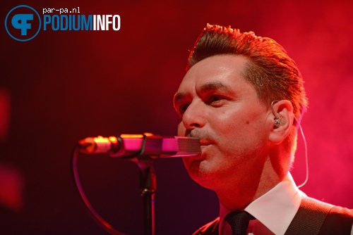 Moke op Moke - 7/12 - Tivoli foto