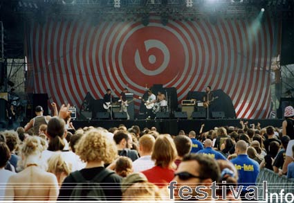 Beatsteaks op Sziget foto