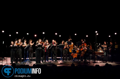 Amsterdam Sinfonietta op Amsterdam Sinfonietta - 19/1 - Nieuwe Luxor Theater foto