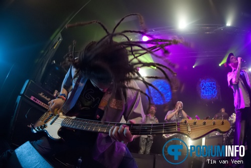Def P. & The Beatbusters op Def P. & The Beatbusters - 31/1 - Tivoli foto