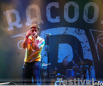 Racoon op Appelpop 2006 foto