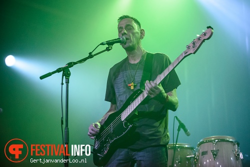 A Certain Ratio op Grauzone 2013 foto