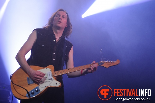 Chameleons Vox op Grauzone 2013 foto