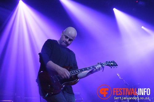 Chameleons Vox op Grauzone 2013 foto