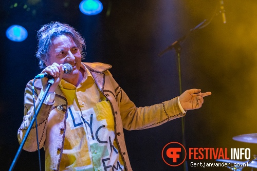 Fehlfarben op Grauzone 2013 foto