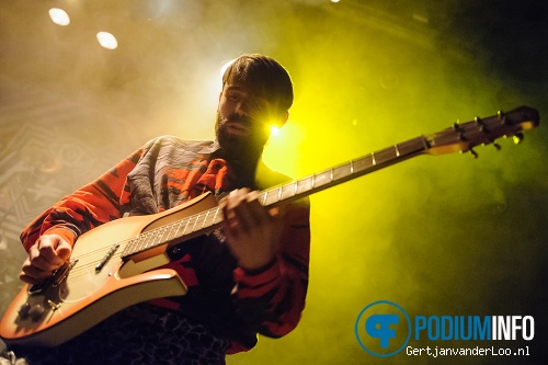 Jongens Driest op Skip & Die - 7/3 - Paard foto