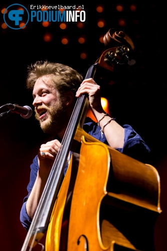 Mumford & Sons op Mumford & Sons - 30/03 - Ziggo Dome foto