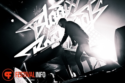 The Bloody Beetroots op paaspop 2013 - dag 3 foto