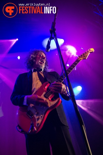 The Pretty Things op Roadburn 2013 foto