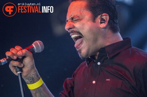 Strung Out op Groezrock 2013 dag 2 foto
