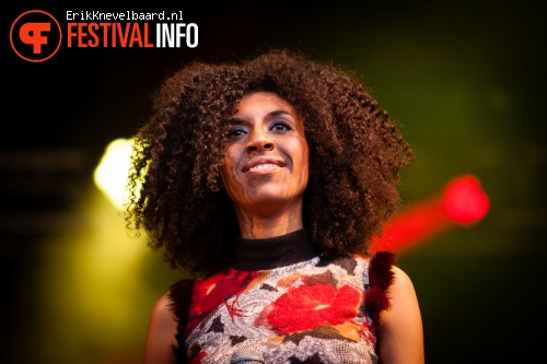 Foto Re:Freshed Orchestra op LIFE I LIVE Festival 2013