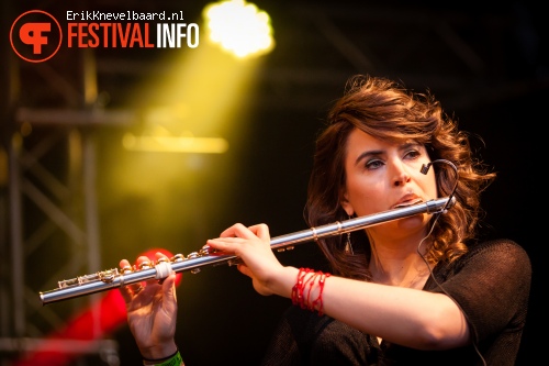 Re:Freshed Orchestra op LIFE I LIVE Festival 2013 foto