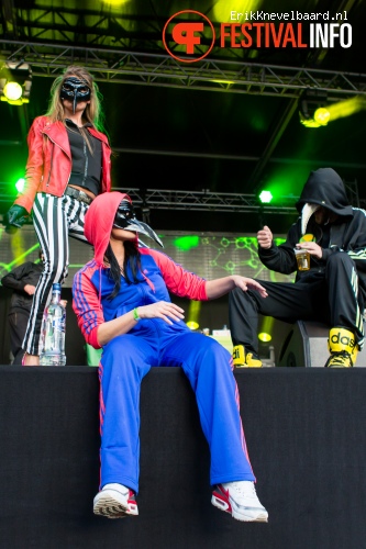 Foto De Kraaien op LIFE I LIVE Festival 2013
