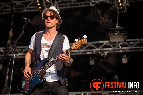 Racoon op Bevrijdingsfestival Overijssel 2013 foto