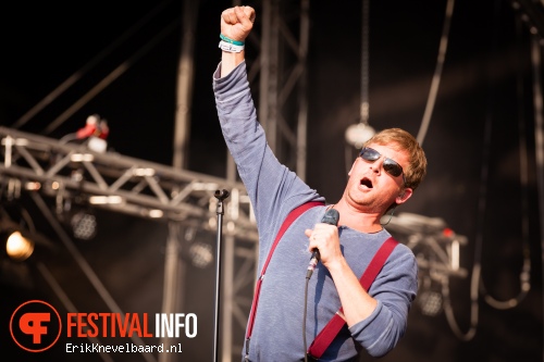 Racoon op Bevrijdingsfestival Overijssel 2013 foto