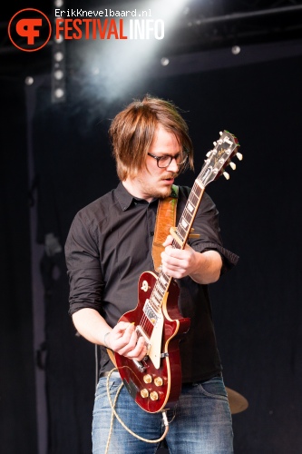 The Horse Company op Bevrijdingsfestival Overijssel 2013 foto