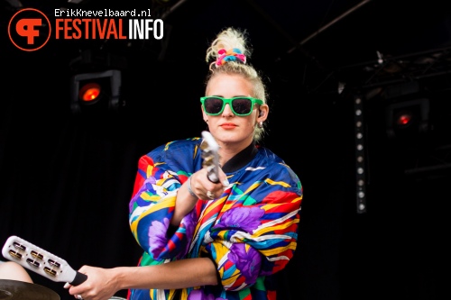 Skip & Die op Bevrijdingsfestival Overijssel 2013 foto