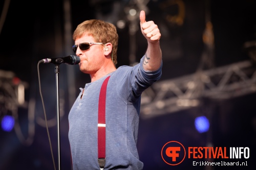 Racoon op Bevrijdingsfestival Overijssel 2013 foto