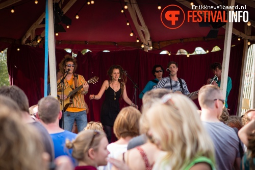 Hubble Orkestar op Bevrijdingsfestival Overijssel 2013 foto