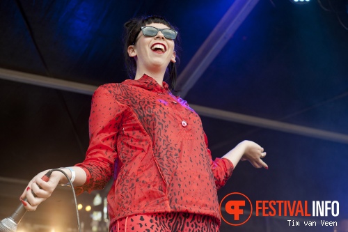 Gnucci op Bevrijdingsfestival Utrecht 2013 foto