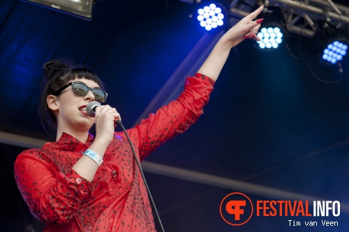 Gnucci op Bevrijdingsfestival Utrecht 2013 foto