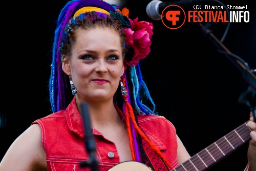 Bevrijdingsfestival Limburg 2013 foto
