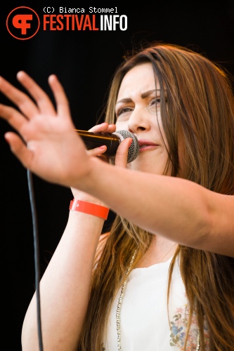 Bevrijdingsfestival Limburg 2013 foto