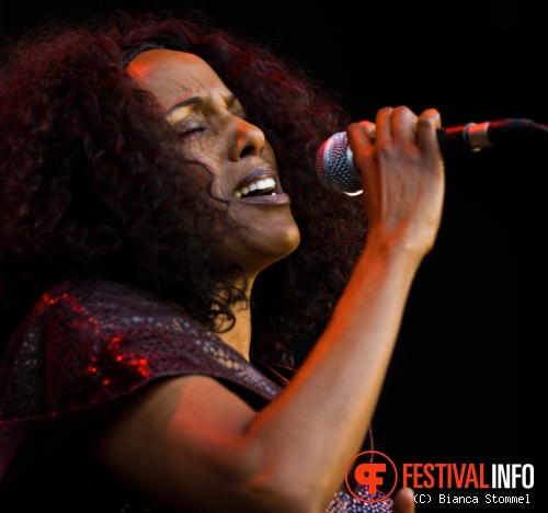 Bevrijdingsfestival Limburg 2013 foto
