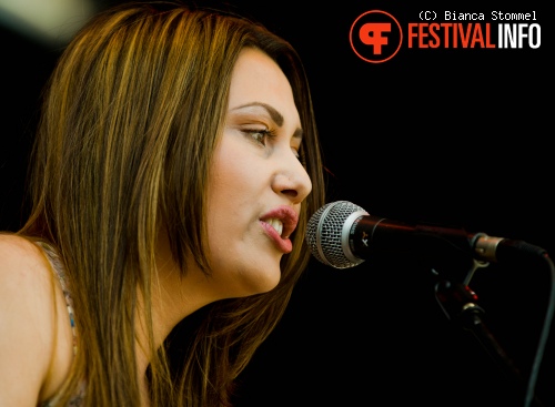 Bevrijdingsfestival Limburg 2013 foto
