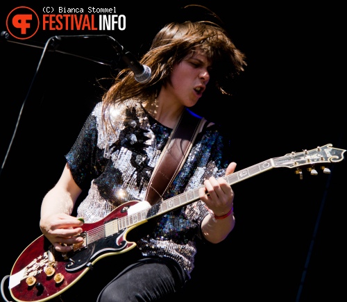 Bevrijdingsfestival Limburg 2013 foto