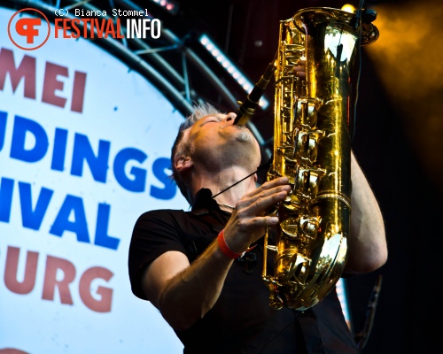 Bevrijdingsfestival Limburg 2013 foto