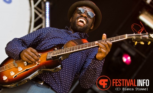 Foto New Cool Collective op Bevrijdingsfestival Limburg 2013