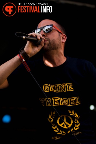 Bevrijdingsfestival Limburg 2013 foto
