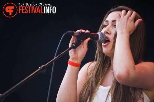 Bevrijdingsfestival Limburg 2013 foto