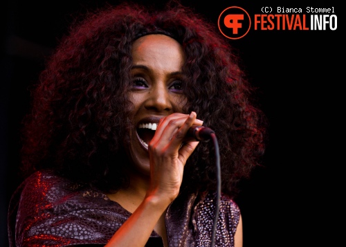 Bevrijdingsfestival Limburg 2013 foto