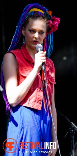 Bevrijdingsfestival Limburg 2013 foto