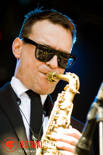 Foto New Cool Collective op Bevrijdingsfestival Limburg 2013
