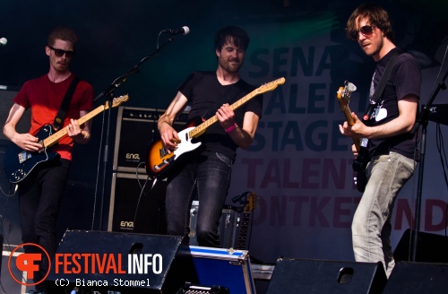 Bevrijdingsfestival Limburg 2013 foto