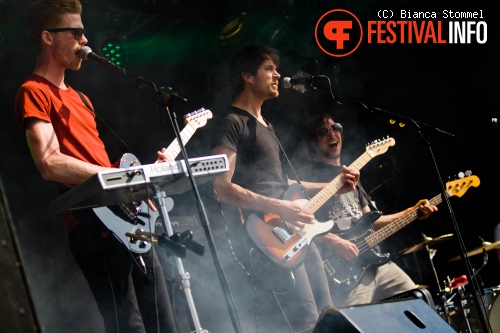 Bevrijdingsfestival Limburg 2013 foto