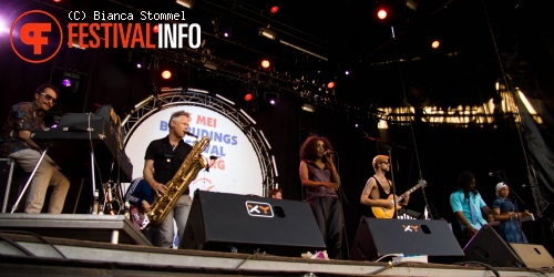 Bevrijdingsfestival Limburg 2013 foto