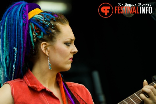 Bevrijdingsfestival Limburg 2013 foto