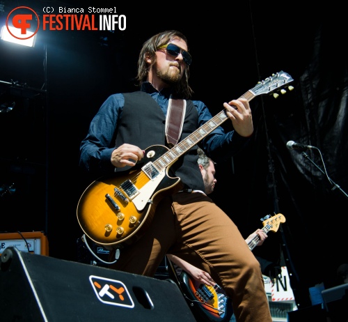Bevrijdingsfestival Limburg 2013 foto