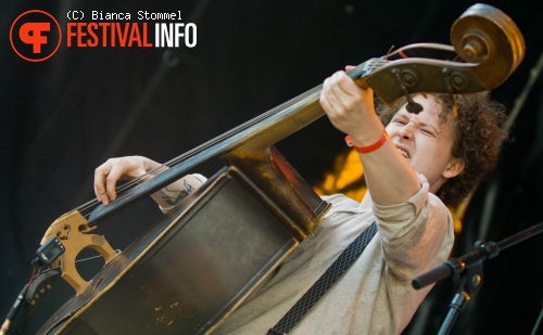 Bevrijdingsfestival Limburg 2013 foto