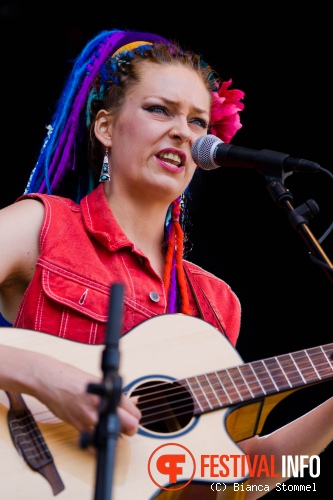Bevrijdingsfestival Limburg 2013 foto