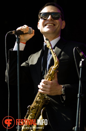 Foto New Cool Collective op Bevrijdingsfestival Limburg 2013